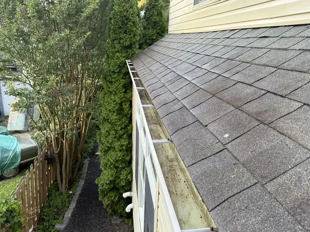 Gutter cleaning in Devon PA before and after debris removal, after