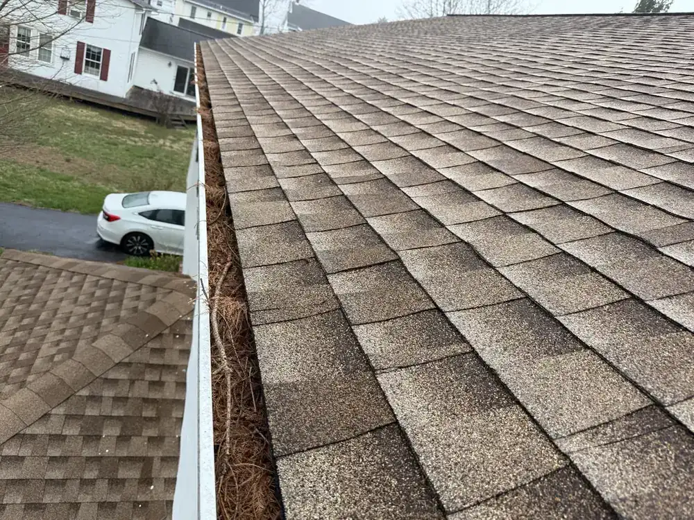 Gutter cleaning in Newtown Square PA before and after pine needle removal, before