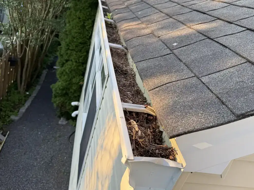 Gutter cleaning in Devon PA before and after debris removal, before